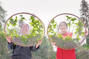 多彩贵州幸福和谐｜让人民群众生活更有质量、更加美好</a>