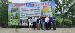 安徽石台发展青钱柳健康产业基地 助力乡村振兴</a>